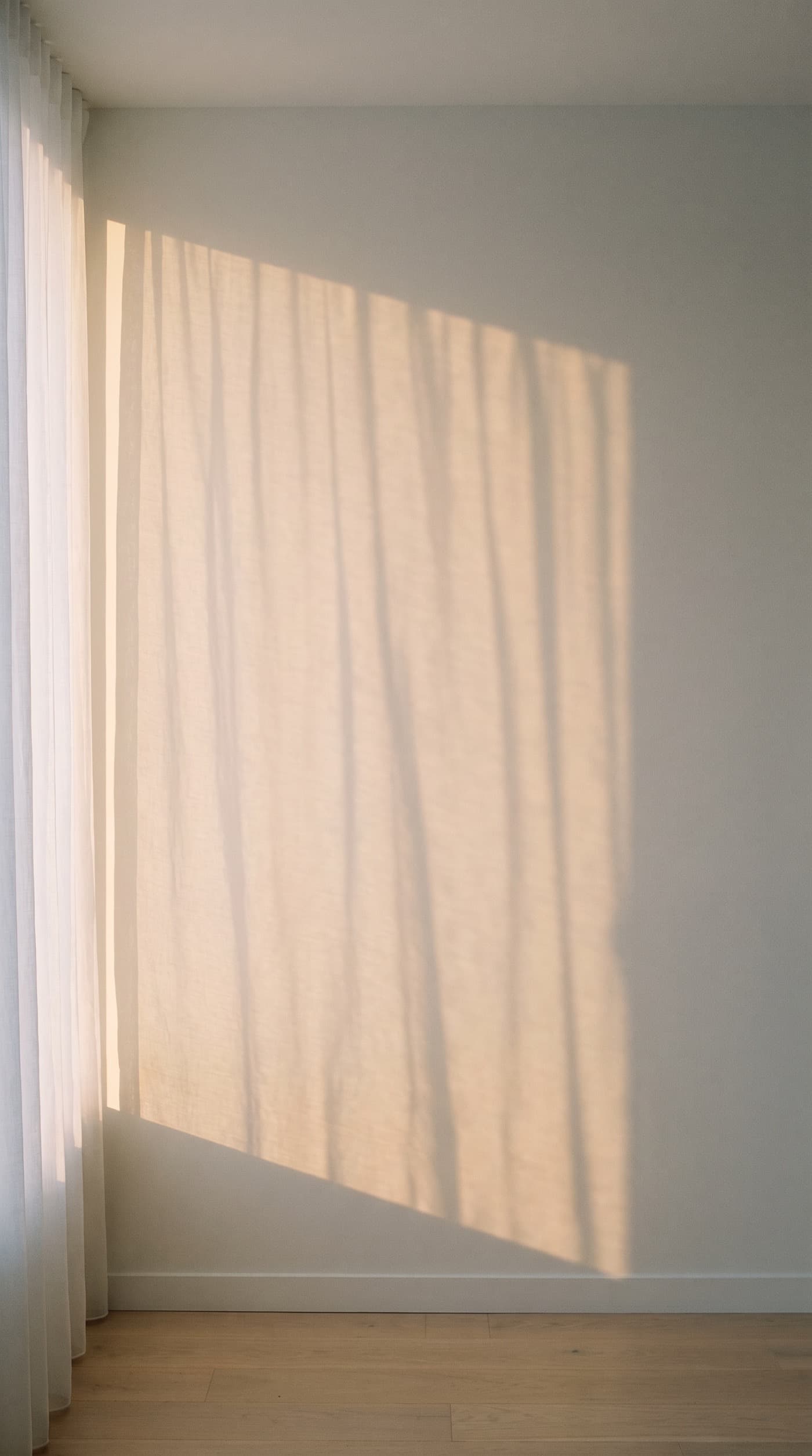 Late sun through a sheer curtain, falling across a plaster wall